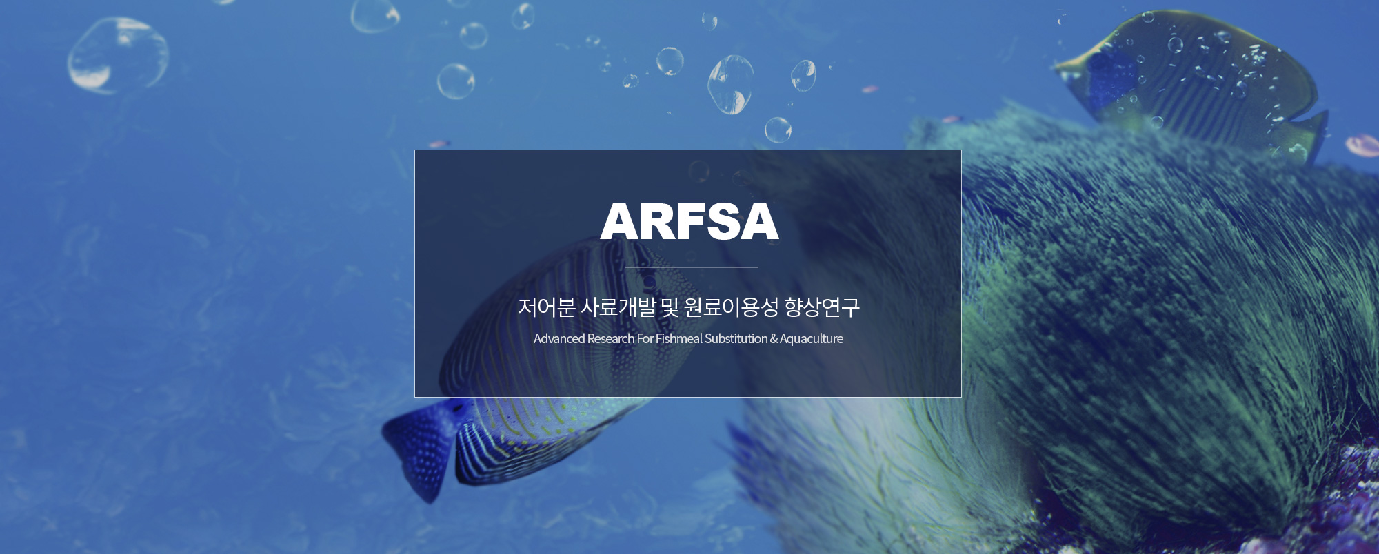 비주얼2