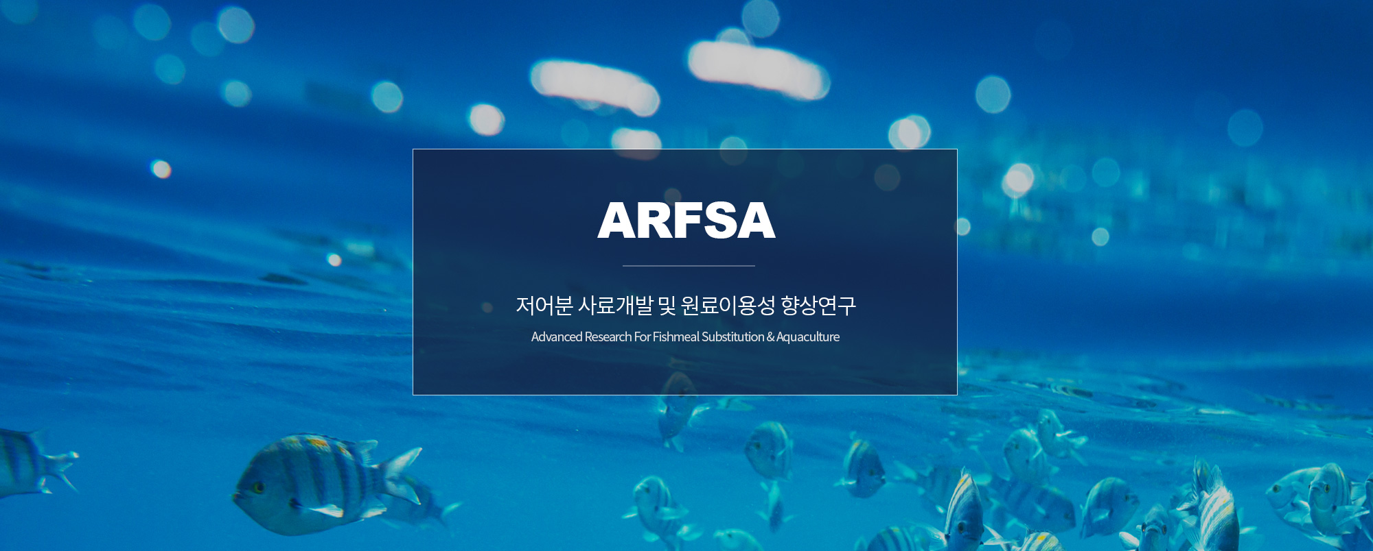 비주얼3